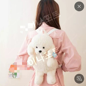 푸들인형 백팩 귀여운 푸들 여자친구들이 좋아하는 강아지 백팩 인형가방