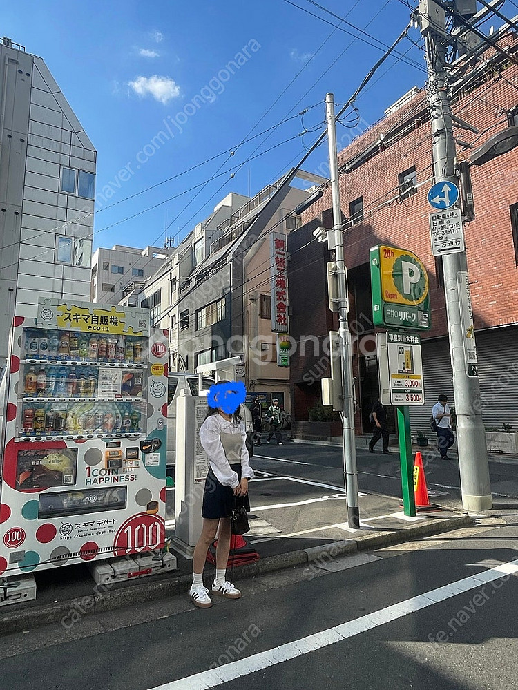 아디다스 삼바 삼배 (화이트 컬리지에이트 그린, 240...--5