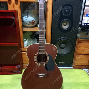 덱스터 통기타 DOM-16M-OP 49000원