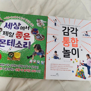 (거의 새것, 택포) 세상에서 제일 좋은 몬테소리, 감각통합놀이