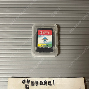 닌턴도 스위치 포켓몬스터 소드 익스팬션패스 합본 실물칩 중고