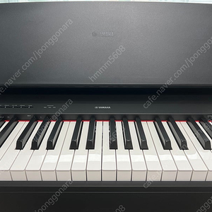 야마하 P-225 디지털 피아노