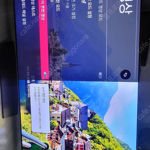 LG OLED 65인치