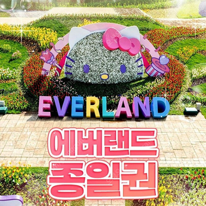 에버랜드 종일권