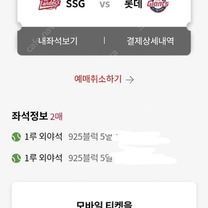 5/6 롯데자이언츠 통로 2연석 (외야) 볼캡O