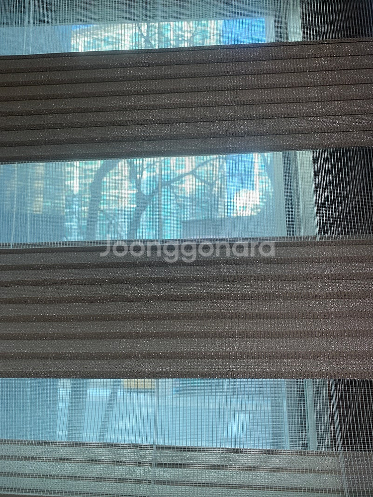 롤 브라인드--2