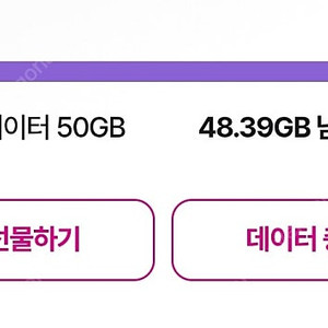 LG유플러스 데이터 2기가