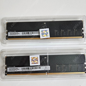 [Team Group] 팀그룹 DDR5 PC5-44800(5600) CL46 Elite 아인스 64GB(32GB*2)