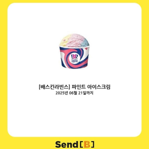 배스킨라빈스 파인트 아이스크림
