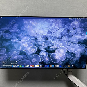 LG 울트라기어 게이밍모니터 32GS95UV OLED 4K 팝니다