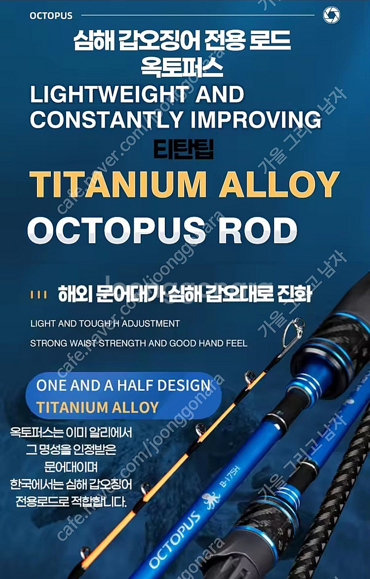 준코, 마리수 옥토퍼스 문어 & 심해갑오징어--5