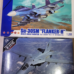 1/35, 1/48 프라 팝니다.