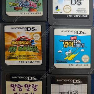 닌텐도 DS칩
