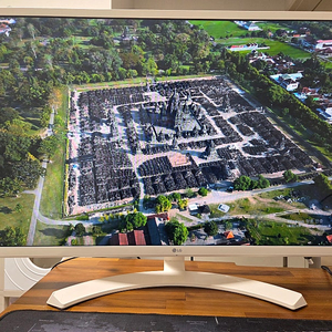 LG 32인치 화이트 IPS 모니터
