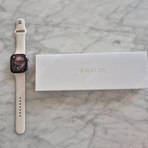 애플워치 10 셀룰러 내추럴 티타늄 46mm