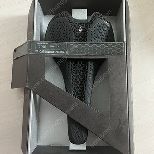 에스웍스 로민 에보 155