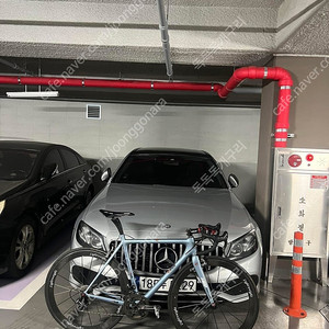 치넬리 레이저 미아 카본 로드 자전거