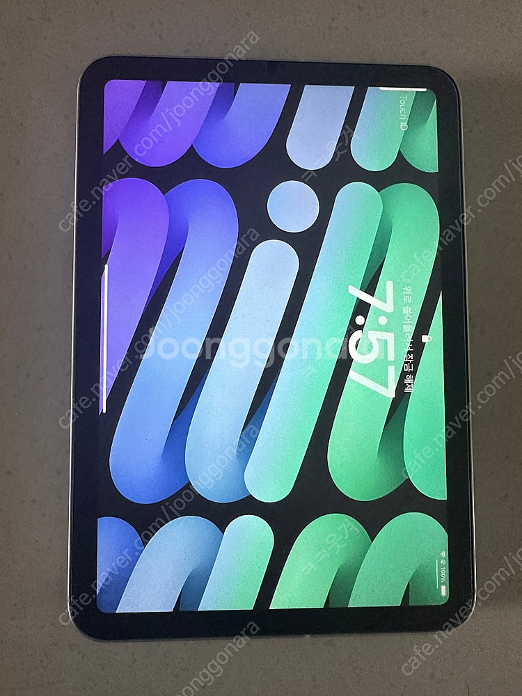 아이패드 미니7 256gb 셀룰러 + 애케플 스타라이트--0