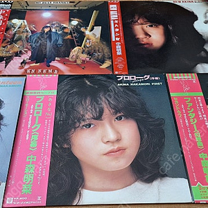 (대폭인하)나카모리 아키나 픽쳐디스크 포함, 대표LP 음반 5 장 일괄 / J팝 유명LP(무료배송)