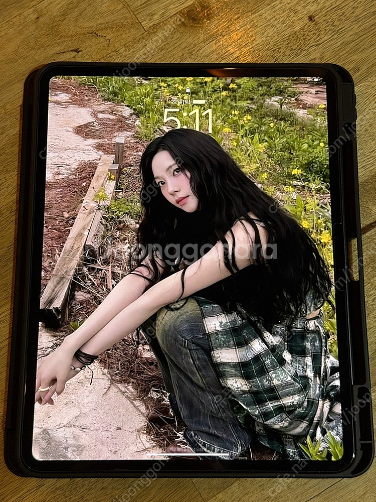 아이패드 프로 M4 13인치 256GB 스페이스블랙 해...--1