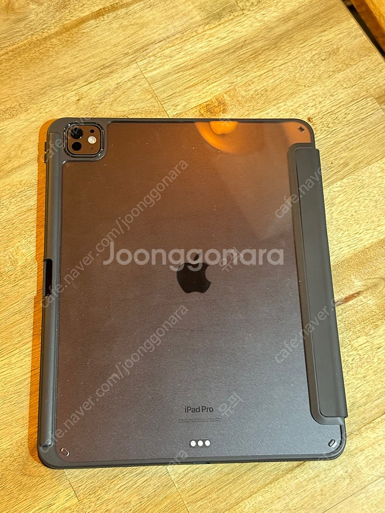 아이패드 프로 M4 13인치 256GB 스페이스블랙 해...--2