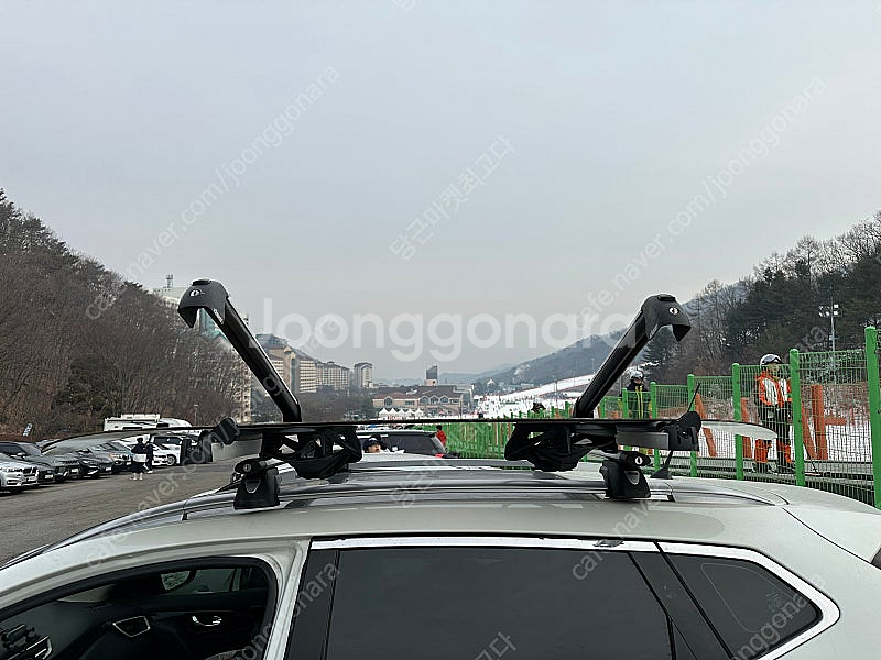 [일괄]교토 보드 캐리어 가로바--3