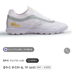 준타스 피스타 SL TF 250 흰색 판매 새상품 풋살화