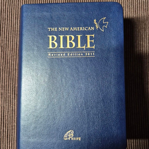 NABRE 미국 천주교 주교회의 영어 주석 성경