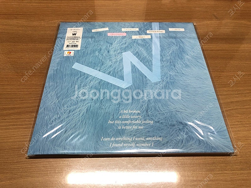 웬디 미니앨범 2집 Wish You Hell LP 미개...--1