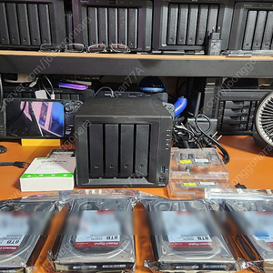 시놀로지DS918+ WD REDPLUS 32TB 램4G