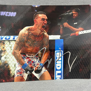 Ufc 맥스할로웨이 친필 사인 싸인 판매