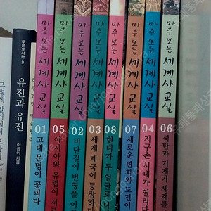 마주보는 세계사교실 전집