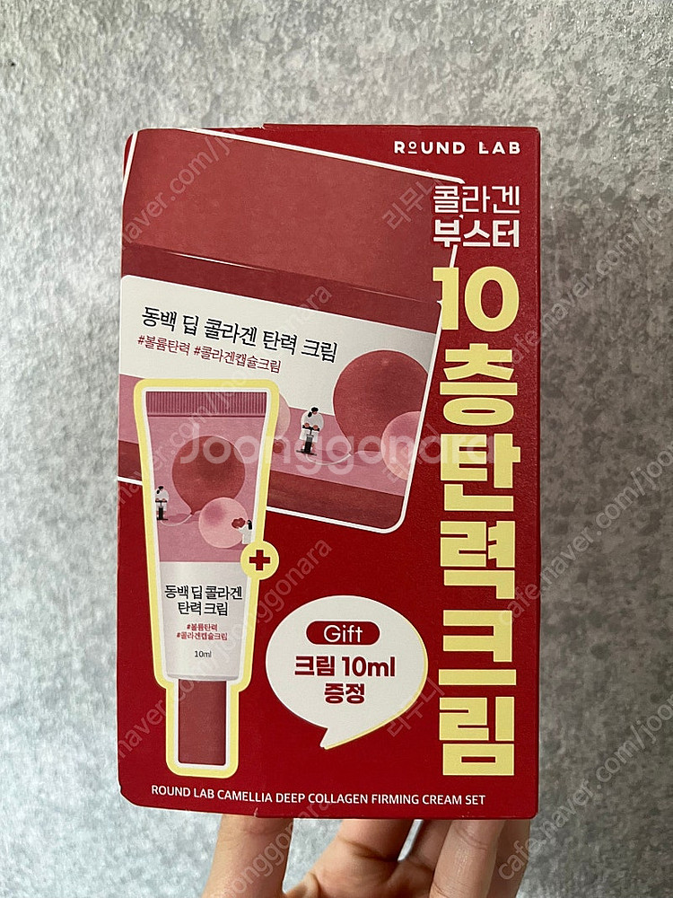 라운드랩 동백 딥 콜라겐 탄력 크림 50ml+10ml ...--1