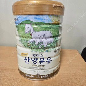 후디스프리미엄 1단계 3개