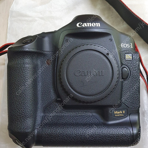 Canon 1DS Mark2