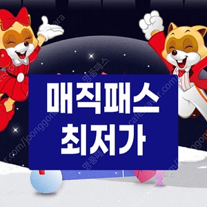 5/6(화) 롯데월드 매직패스 5회권 최저가 판매