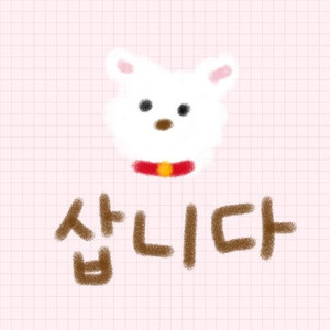 전대 바이크 류 자동차 류 프라델라 구매합니다