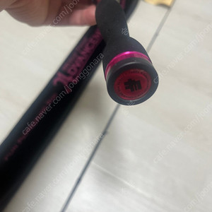 써티포 55핑크