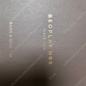 B&O 뱅앤올룹슨 / BeoPlay H95 판매합니다.