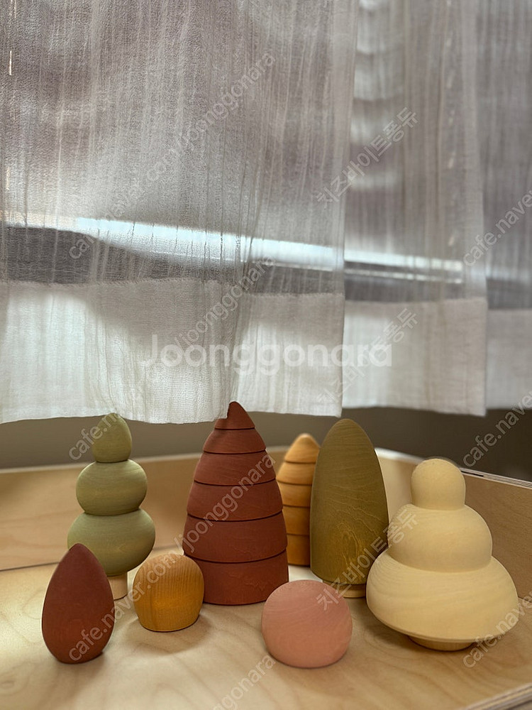 라나솔리 라두가그레이즈 가을포레스트--0