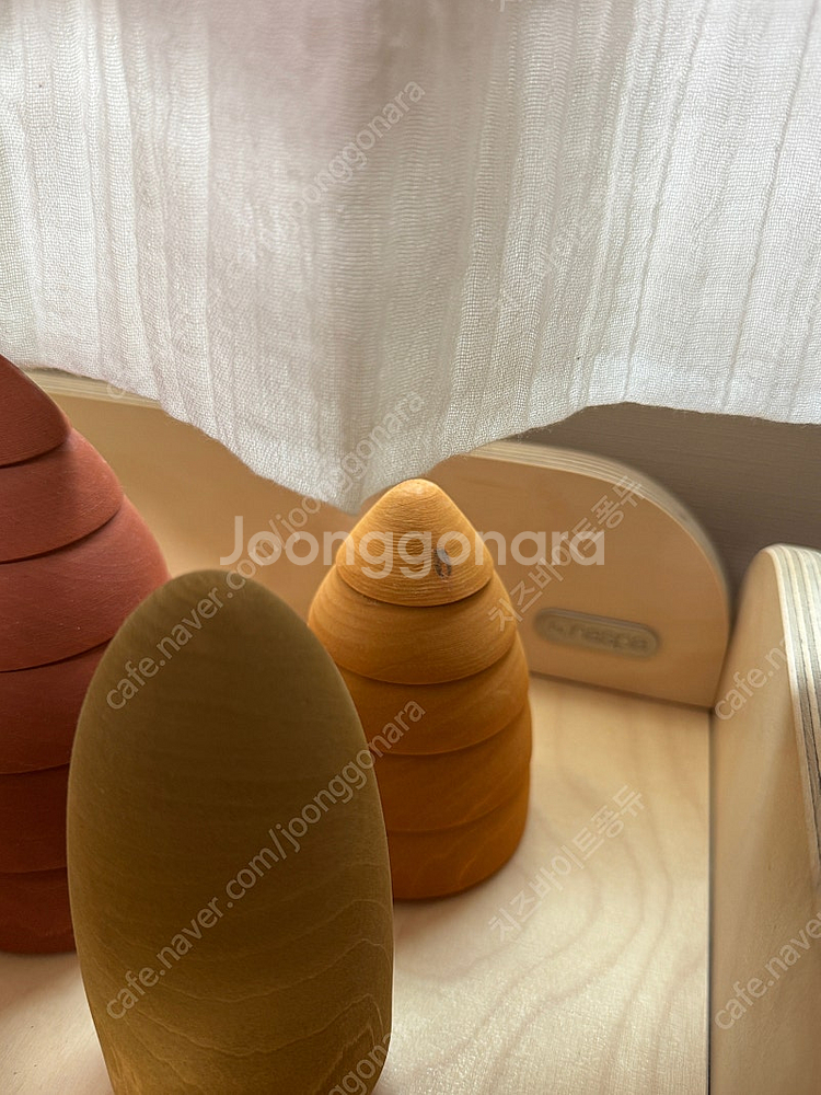 라나솔리 라두가그레이즈 가을포레스트--1