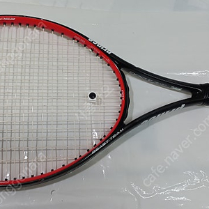 프린스 비스트팀 (290g)