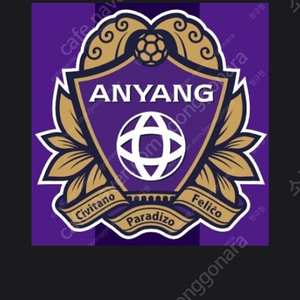 5/6 안양fc vs 서울fc 표3장 구합니드