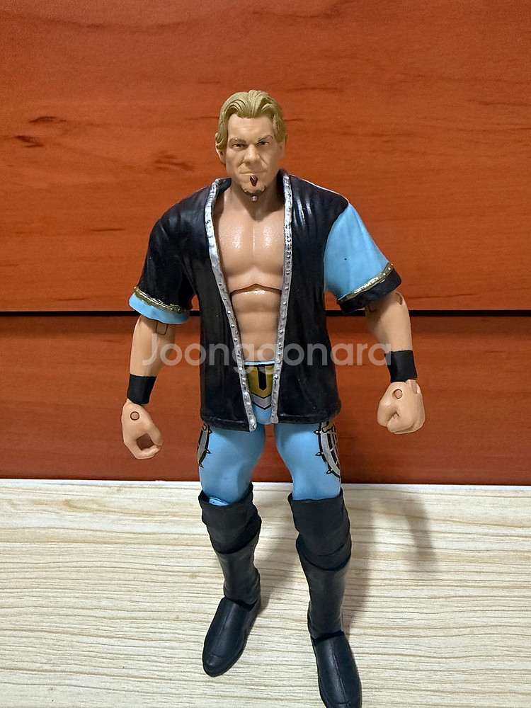 WWE 액션 피규어--0