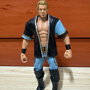 WWE 액션 피규어