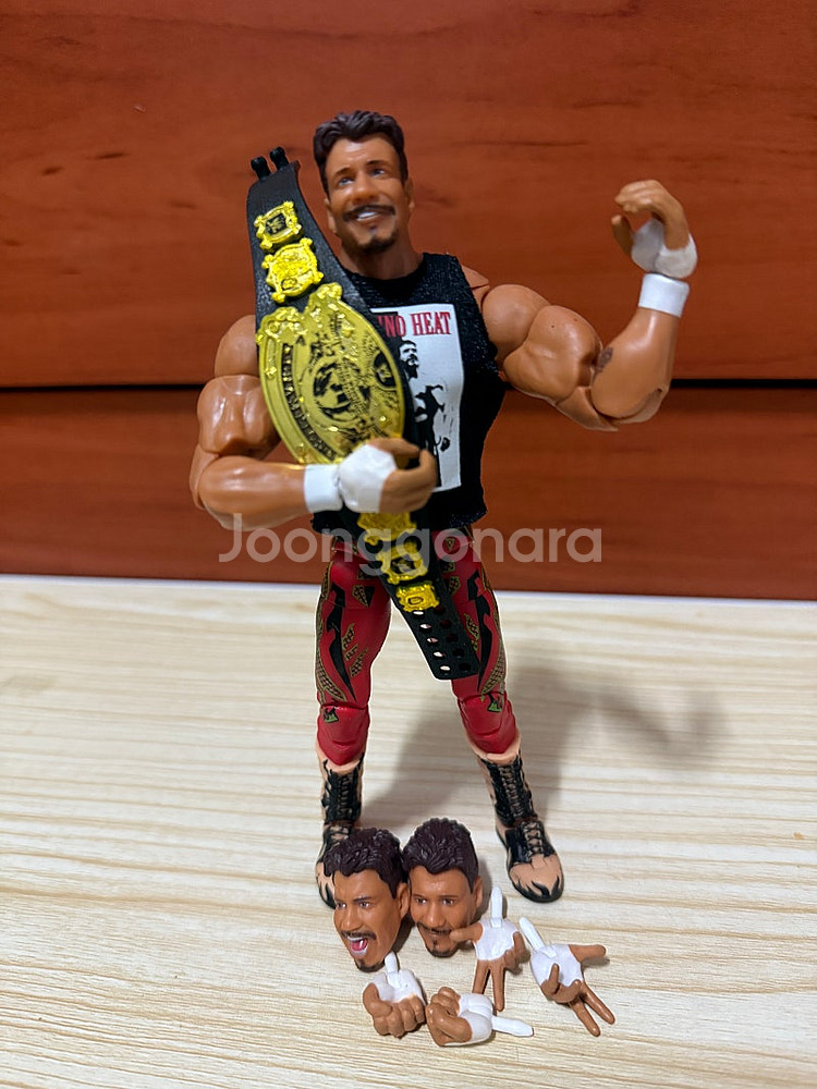 WWE 액션 피규어--2