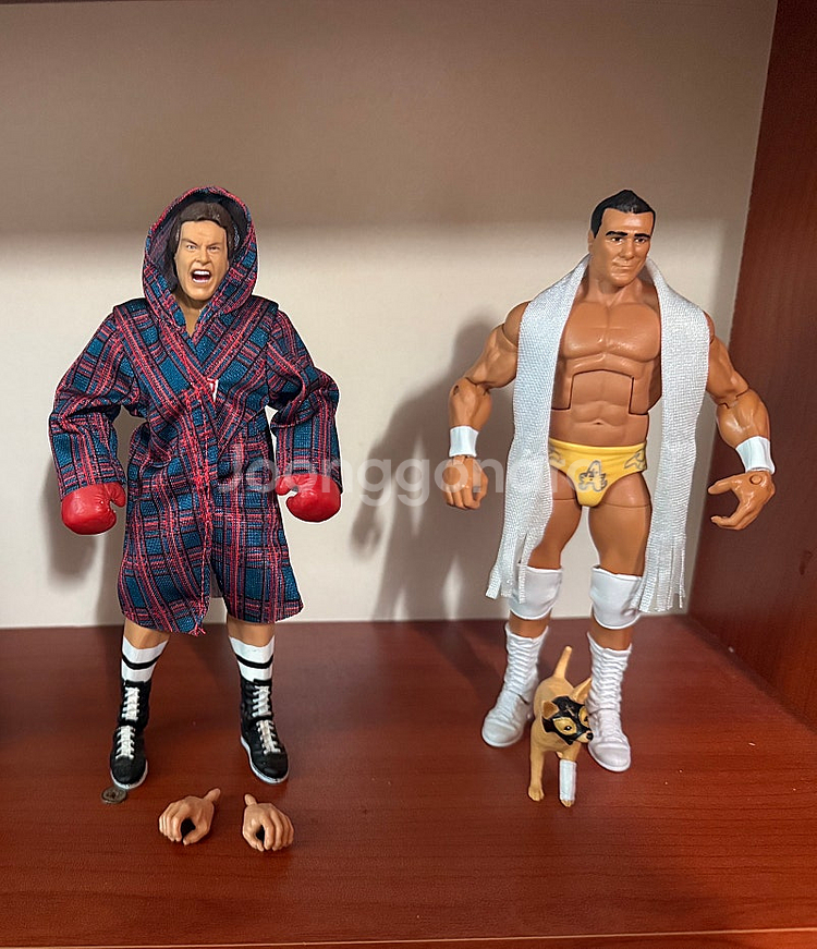WWE 액션 피규어--3