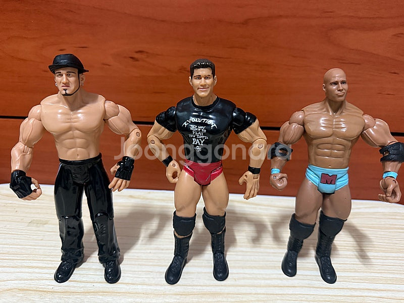 WWE 액션 피규어--5
