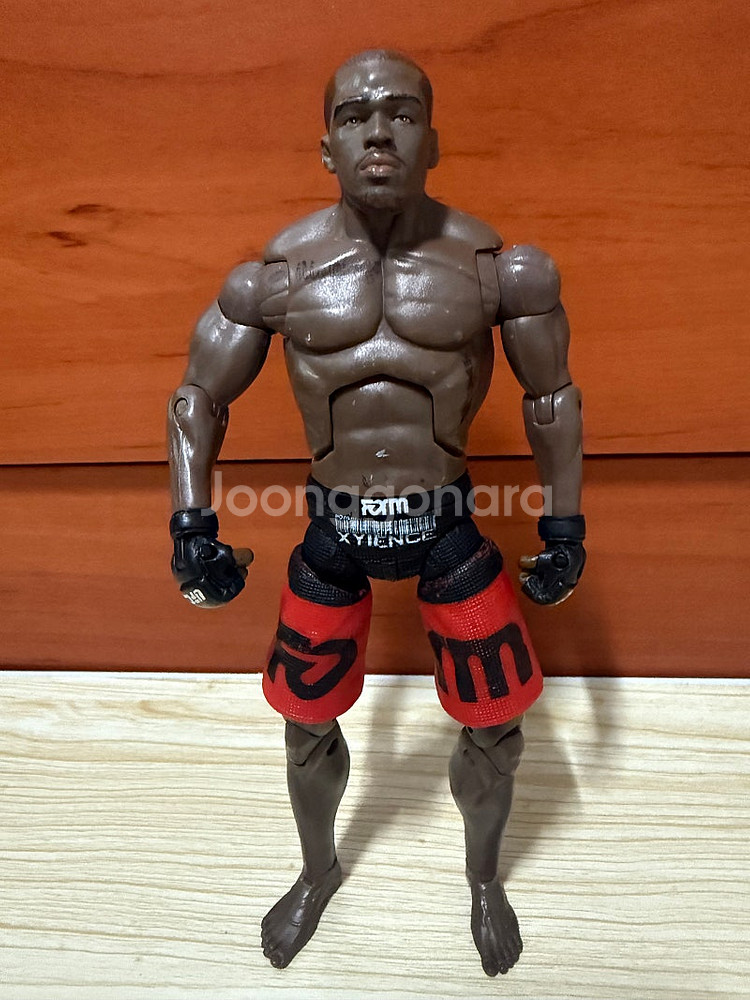 WWE 액션 피규어--8