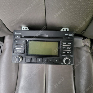 그랜드 카니발 순정 블루투스